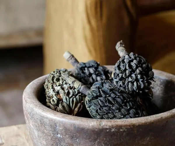 Le Prieure Hotel Madiran