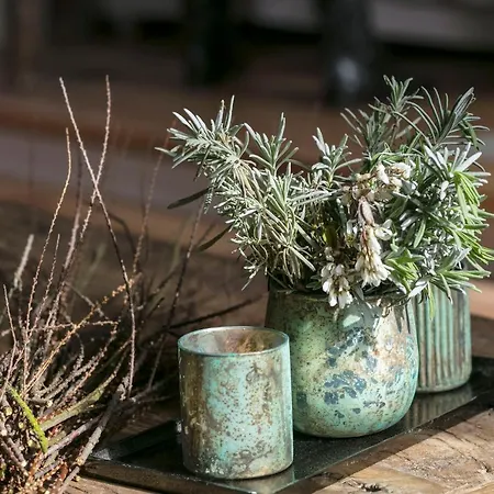 Le Prieure 3* Madiran