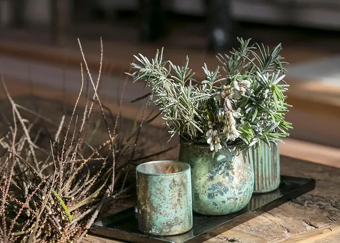 Le Prieure 3* Madiran