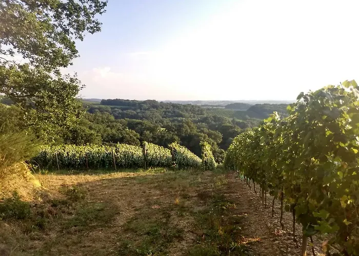 ホテル Le Prieure 3*